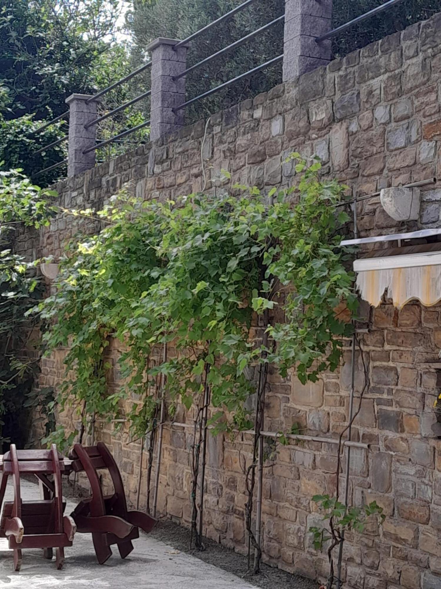 Apartmaji Strunjan Exterior photo